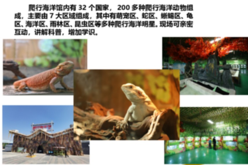 衡水定制亲子动物园一日游（含一名成人一名儿童)