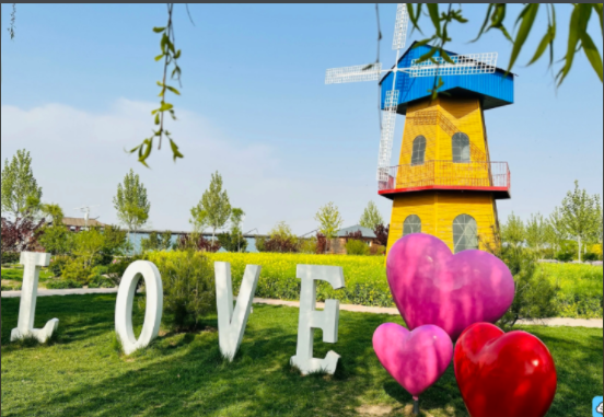 【保定定制】我和春天有个约会-预览图