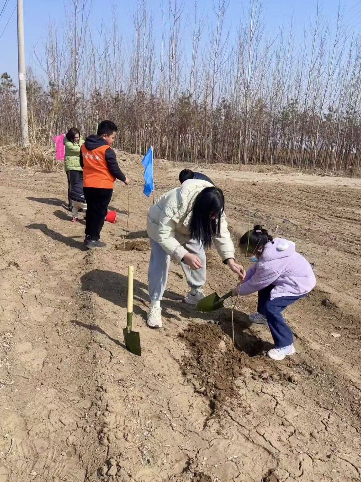 【石家庄定制】草莓自由日，亲子“趣植树”【成人缴费通道】