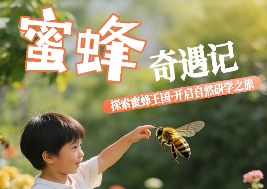 【邯郸市店】蜜蜂奇遇记·自然探秘研学营（含交通）-预览图
