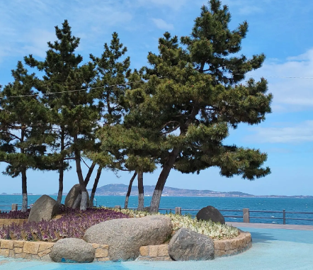 【邢台定制】威海三日游