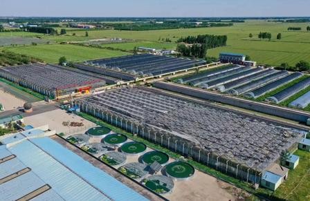 【衡水景县定制】龙华渔耕本草军创谷-预览图