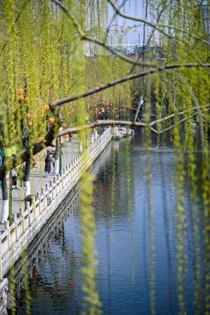 【衡水深州定制】济南一日研学