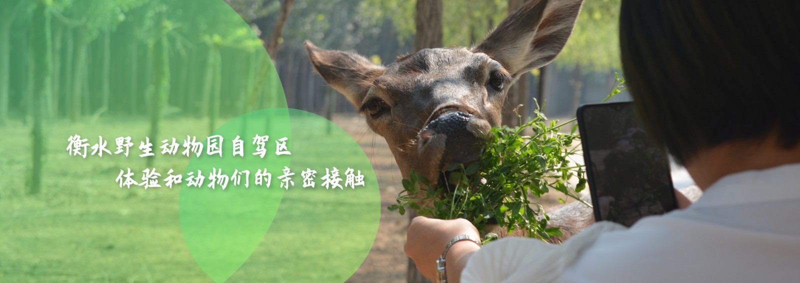 【衡水深州定制】两馆.动物园-预览图