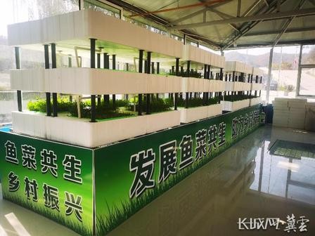 【衡水景县定制】龙华小学—渔耕本草军创谷