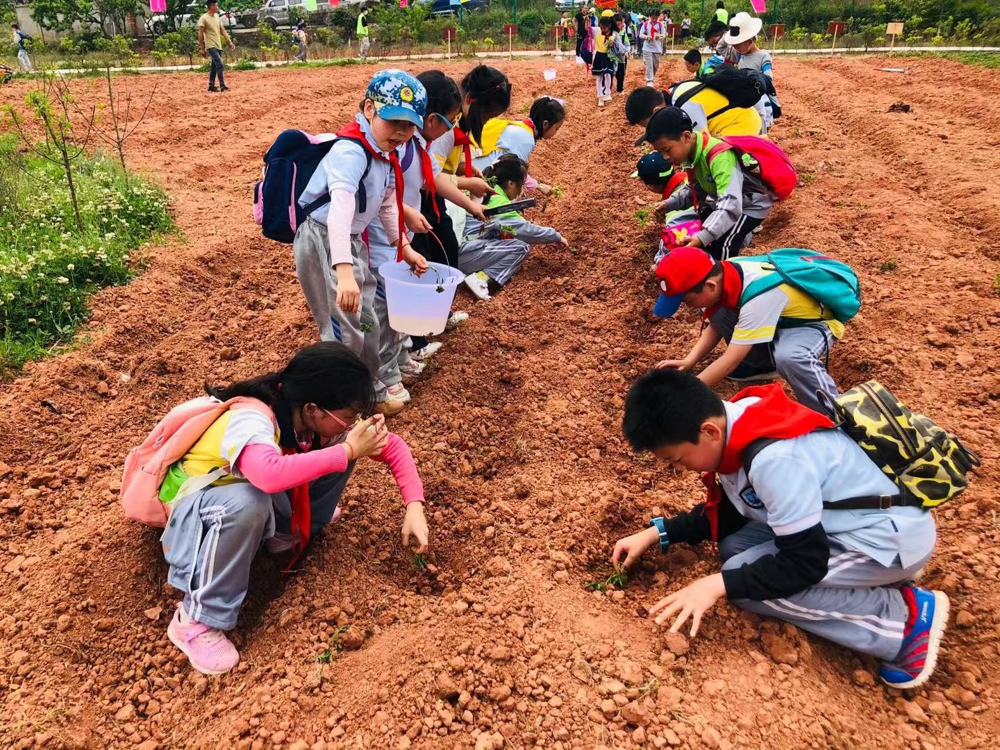 【邯郸市店】我是小农夫一日研学营（不含交通）-预览图