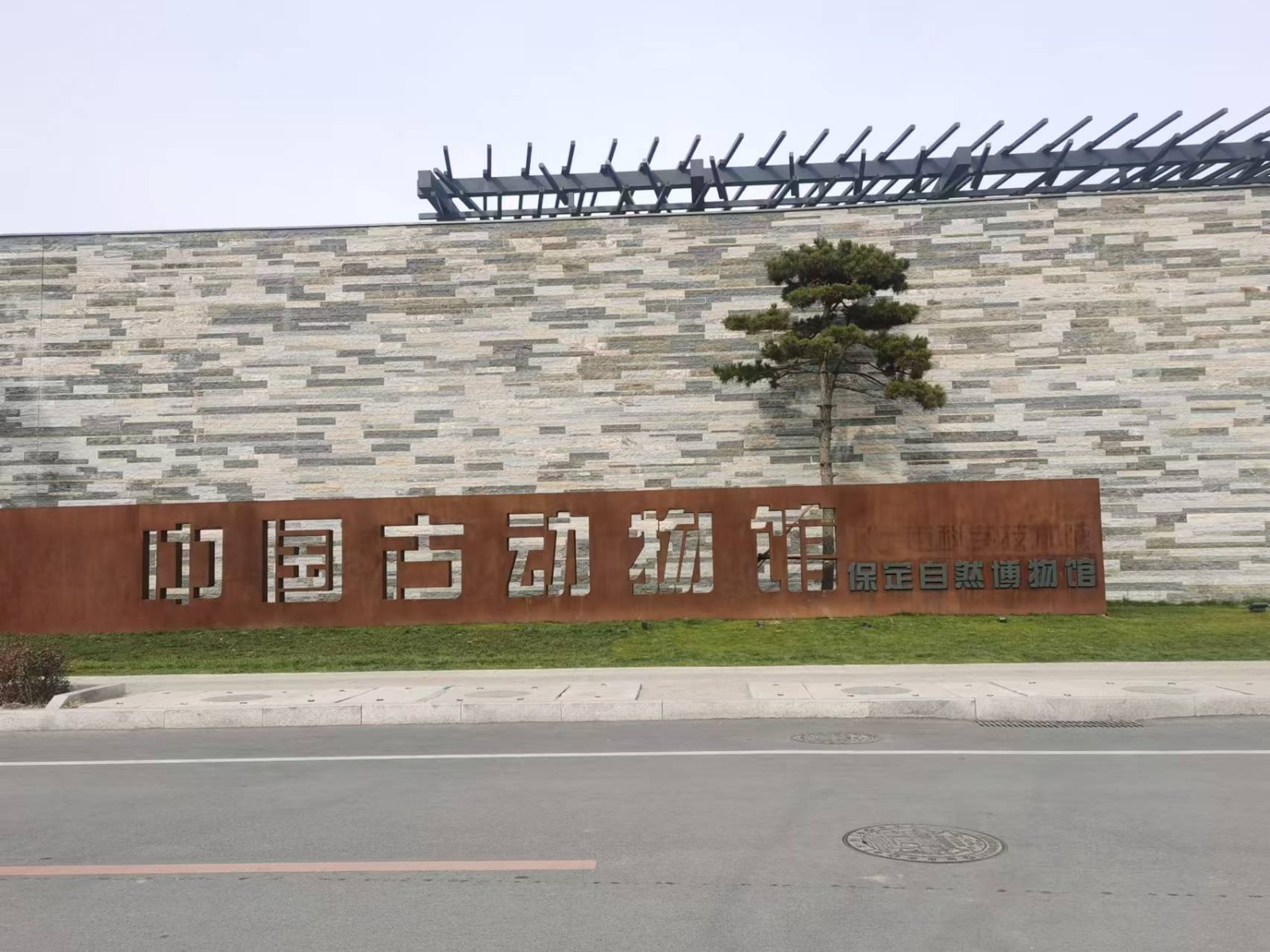 【保定定制】走进博物馆之城——中国古动物馆研学-预览图