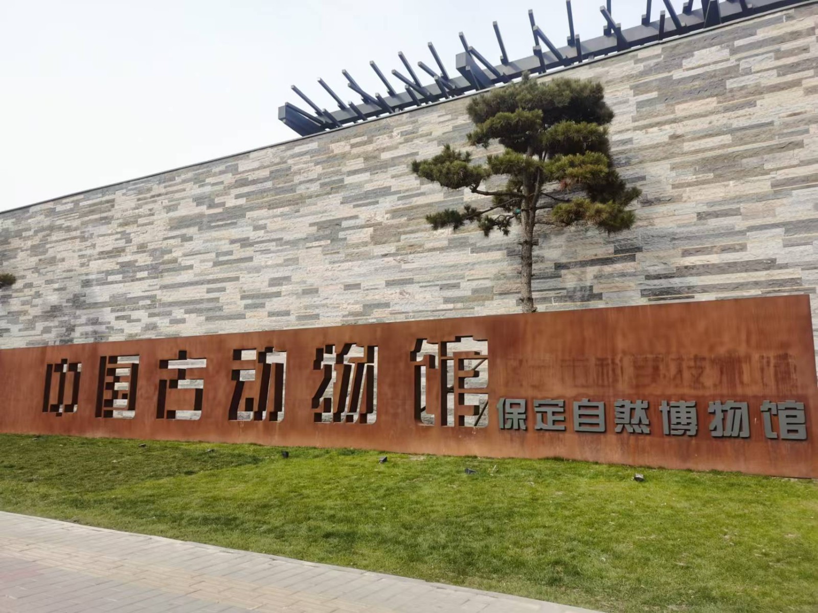 【保定定制】走进博物馆之城——中国古动物馆研学-预览图