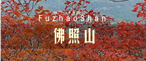 【邢台沙河定制】佛照山研学-预览图