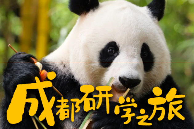 【邯郸市店】成都5天4晚研学之旅
